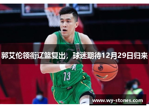 郭艾伦领衔辽篮复出，球迷期待12月29日归来